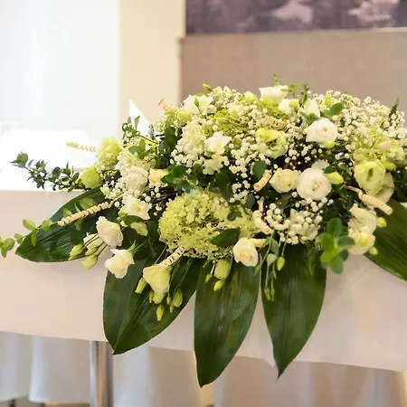 אורחן Centrum Konferencyjne Zamek שצ'צ'ינק